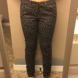 Ann Taylor Loft black leopard jeans